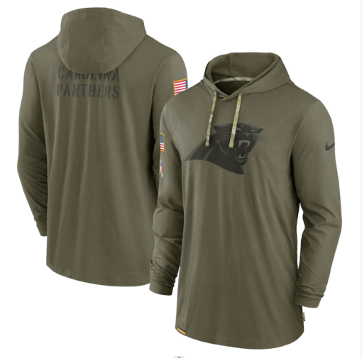 Carolina Panthers 2022 Salute To Service Tonal Pullover Hoodie Olive