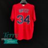 David Ortiz Boston Red Sox Alternate Player Jersey - Red - back