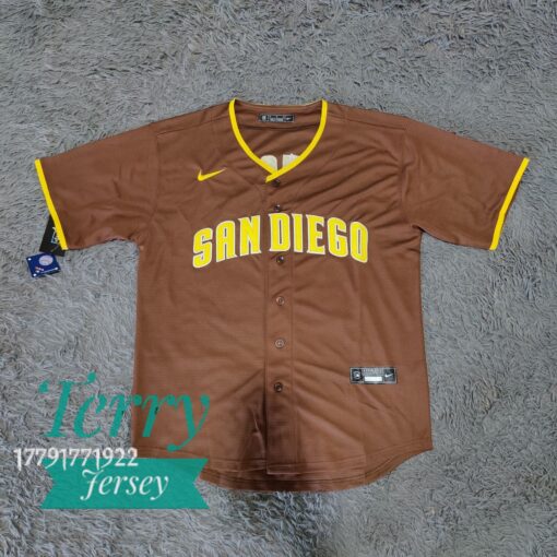 Fernando Tatis Jr. San Diego Padres Alternate Player Jersey - Brown