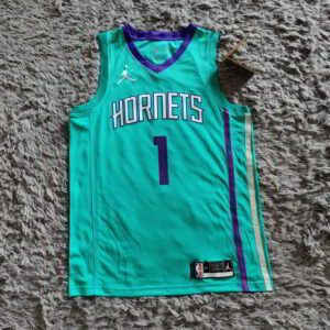 LaMelo Ball #1 Charlotte Hornets 2018 Icon Swingman Jersey - Teal