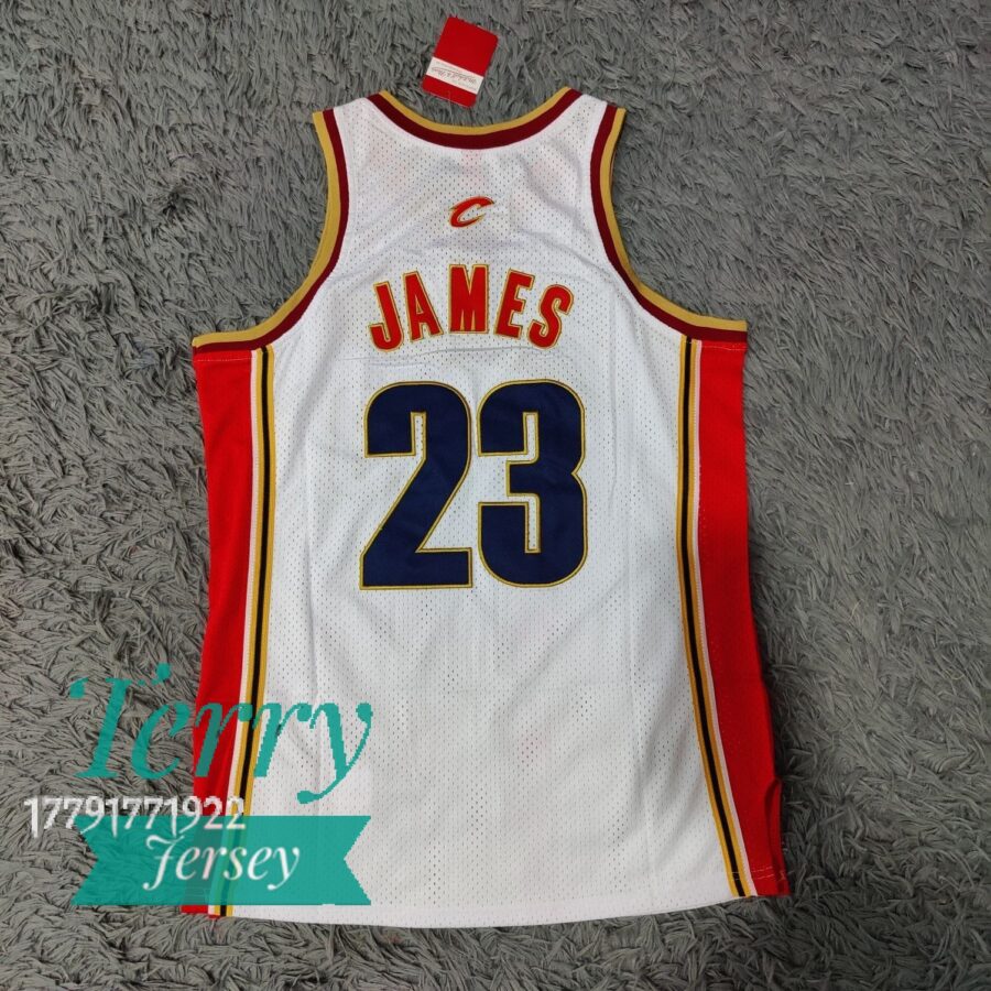 Lebron James Cleveland Cavaliers White Swingman Jersey - back