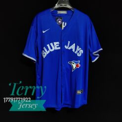 Vladimir Guerrero Jr. Toronto Blue Jays Alternate Name Jersey - Royal