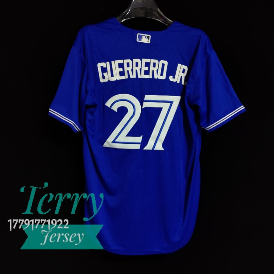 Vladimir Guerrero Jr. Toronto Blue Jays Alternate Name Jersey - Royal - bacl