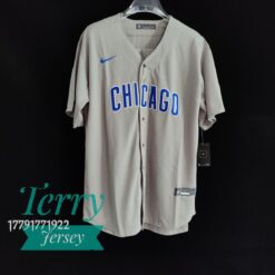 Chicago Cubs Anthony Rizzo Gray Road Player Name Jersey