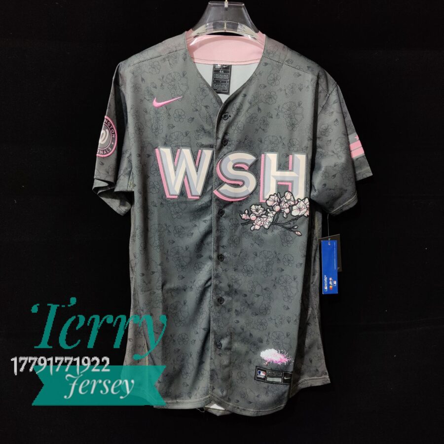 Washington Nationals City Connect Team Jersey - Gray