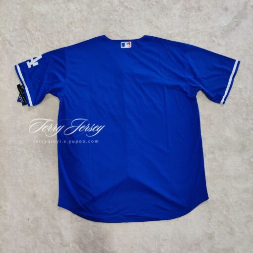 Los Angeles Dodgers Royal Alternate Team Jersey back